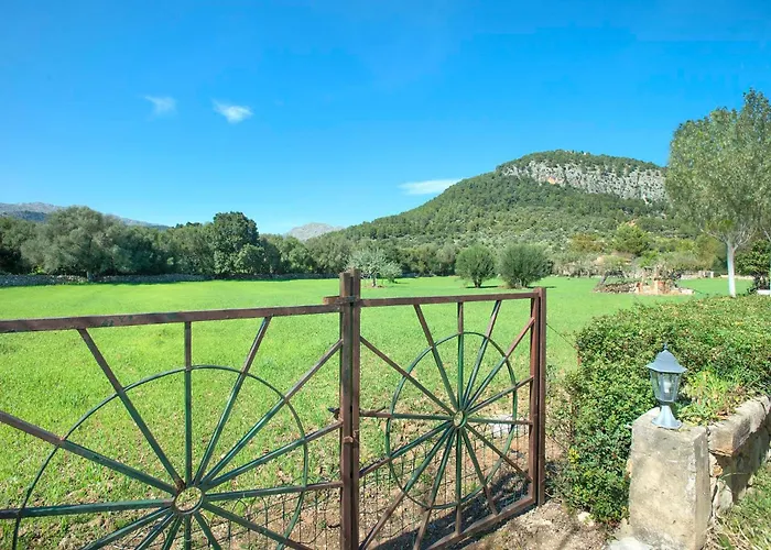 Reus By Vintage Travel Pollença